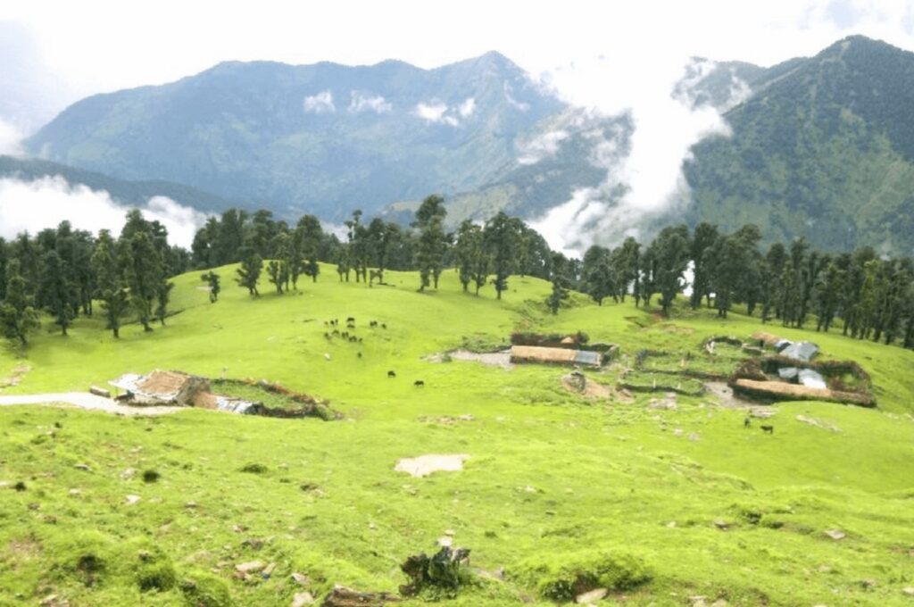 Chopta Valley