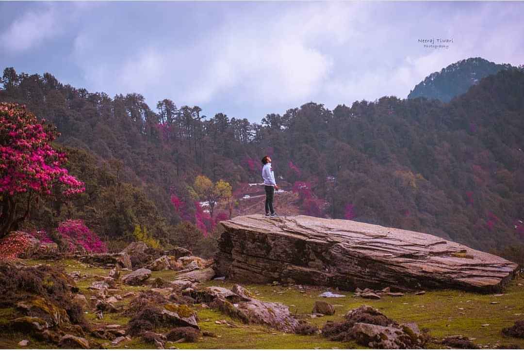 Chopta Valley